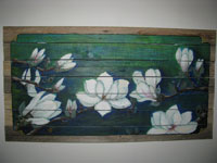 witte magnolia