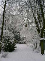 Wilhelminapark met sneeuw