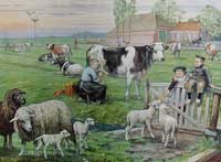 De weide