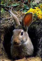 What's up?! Het is lente!