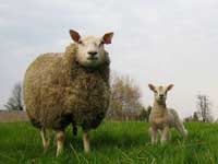 Het is lente!