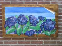 De blauwe hortensia