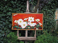 Japanse Anemonen