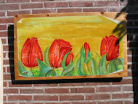 Oranje rode tulpen