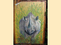 Neushoorn