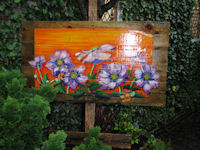 Japanse Anemonen