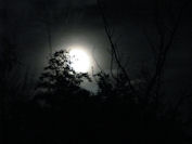winterlicht